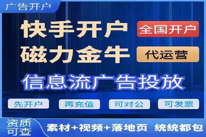 SEM广告投放策略：成功案例解析